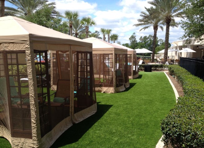 Atlanta commercial landscape turf