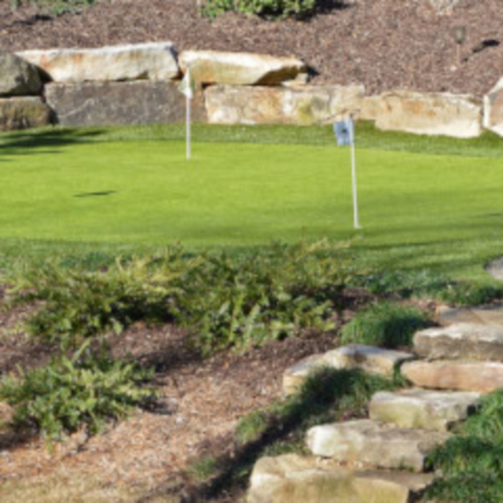 Top Trends For Atlanta Backyard Golf Putting Greens